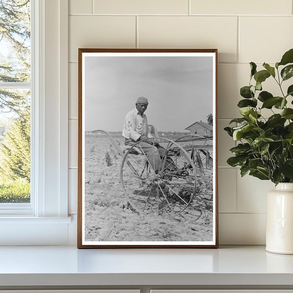 Vintage Cotton Farming in New Madrid County May 1938