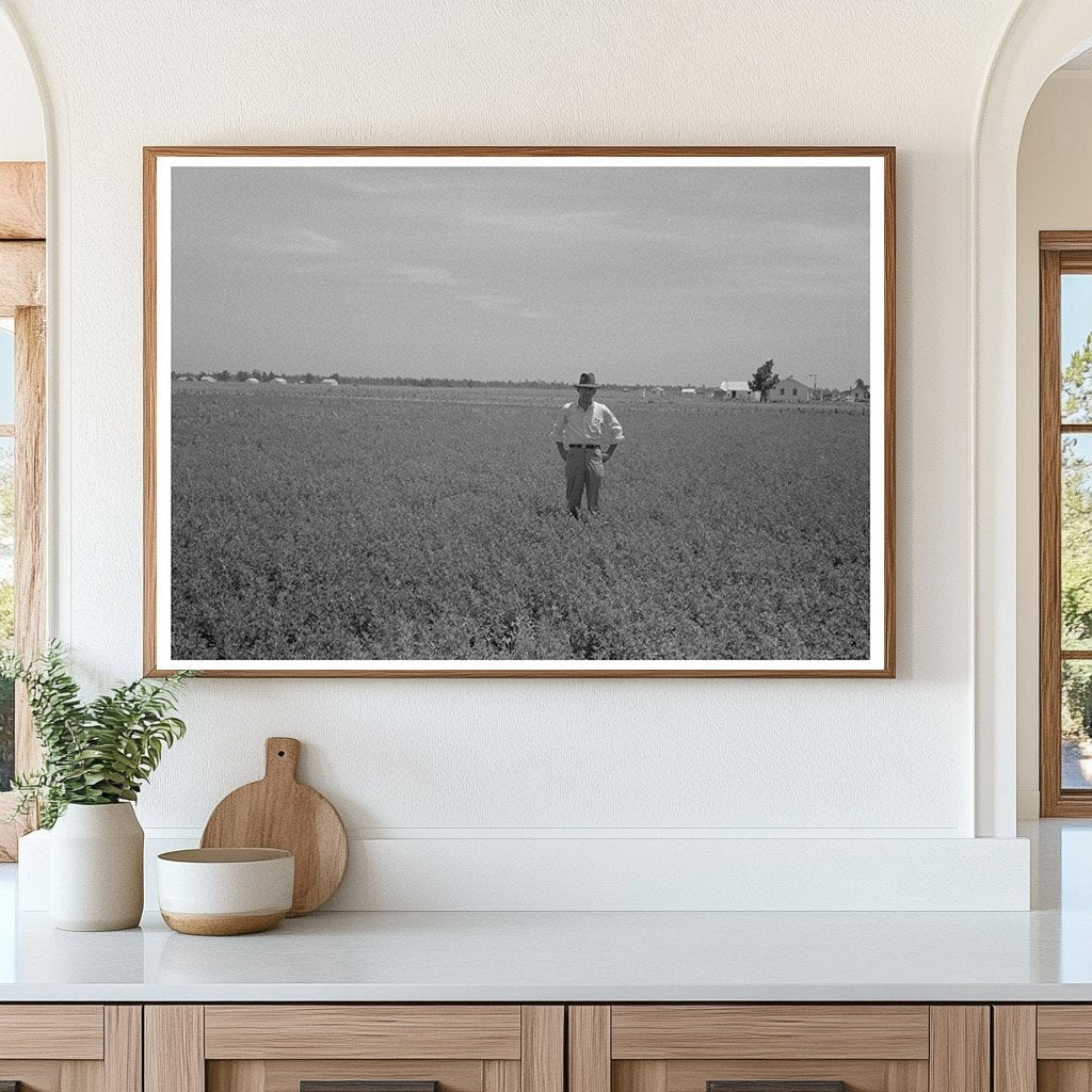 Vintage Planter and Mules in Southeast Missouri 1938