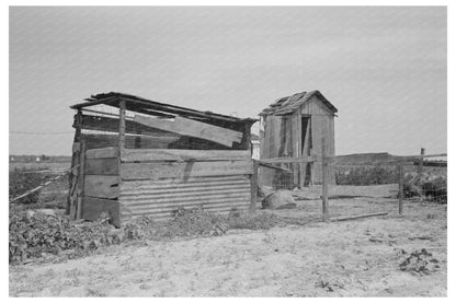 Vintage Henhouse and Privy in New Madrid County 1938