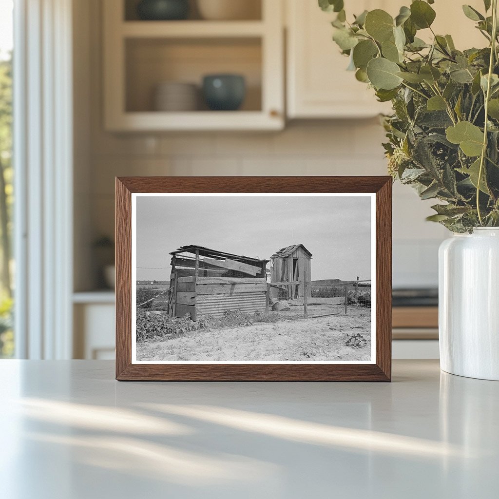 Vintage Henhouse and Privy in New Madrid County 1938