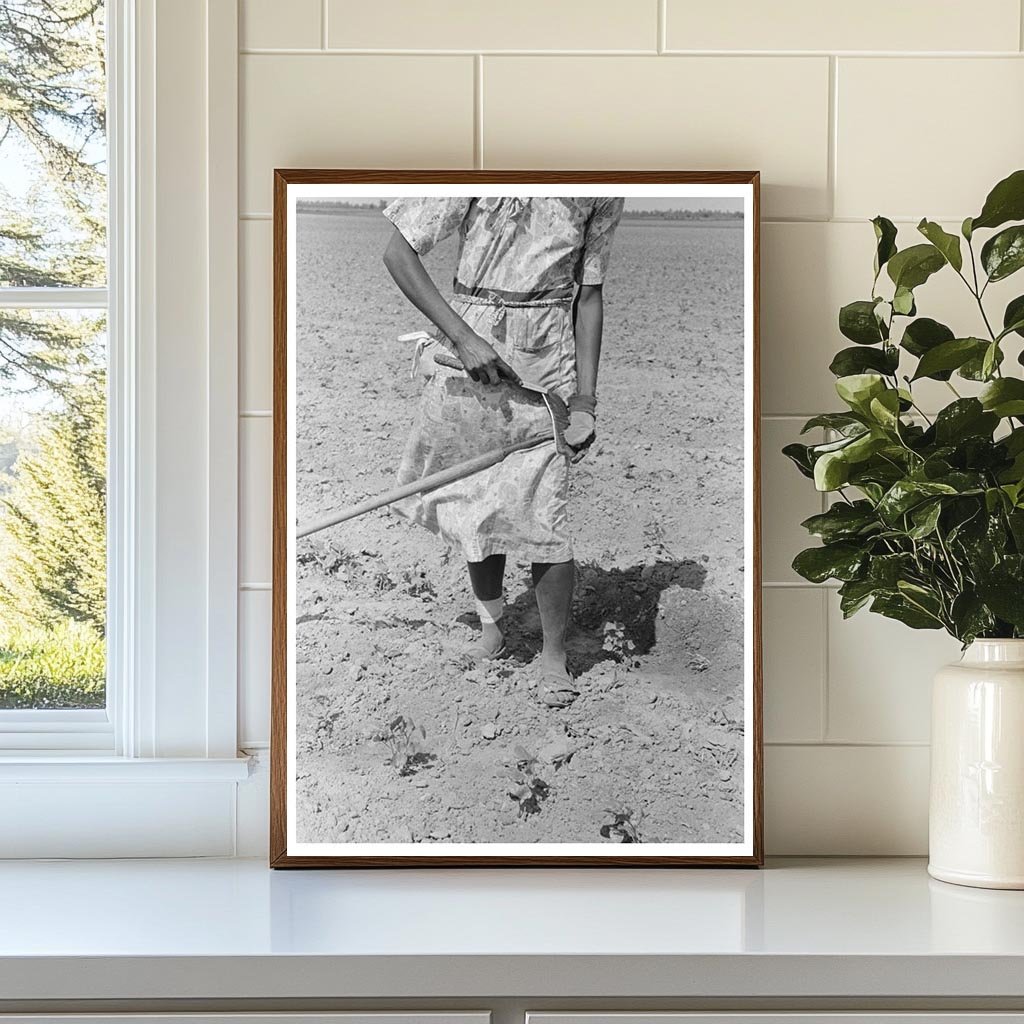 Sharecropper Woman Hoeing Cotton Field May 1938 Missouri