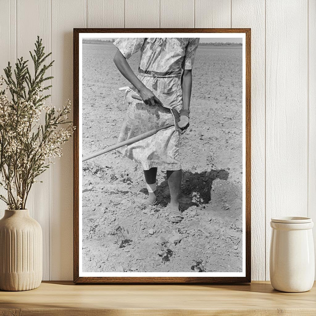 Sharecropper Woman Hoeing Cotton Field May 1938 Missouri