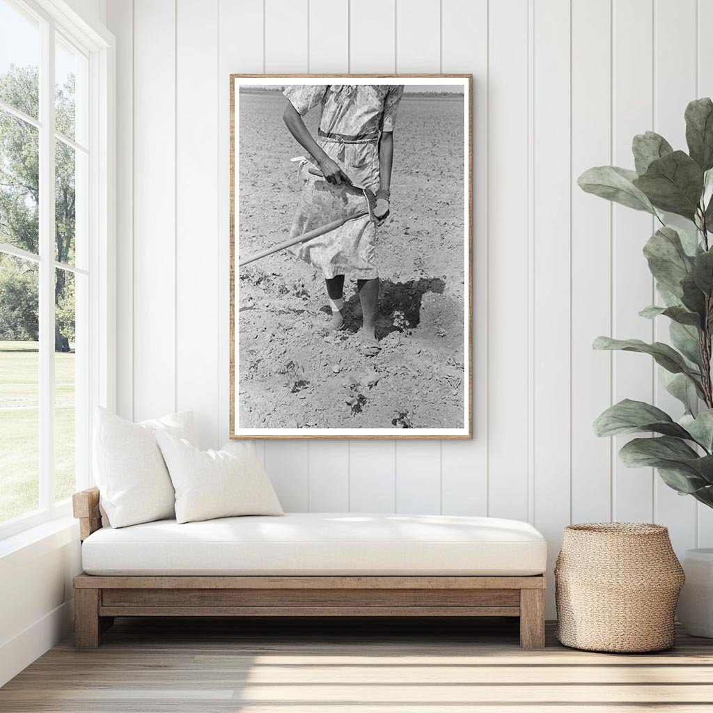 Sharecropper Woman Hoeing Cotton Field May 1938 Missouri