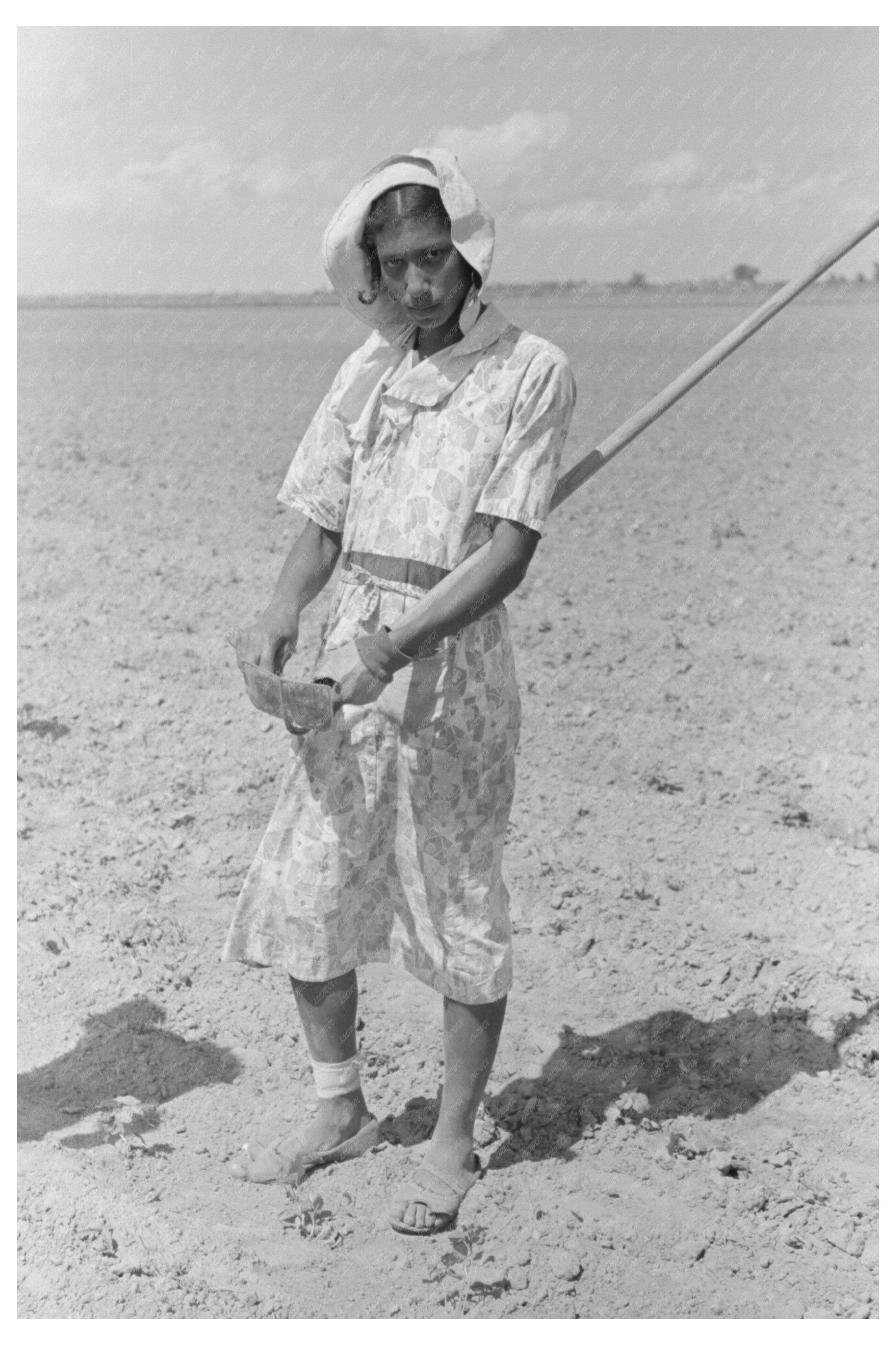 Cotton Hoeing in New Madrid County Missouri 1938