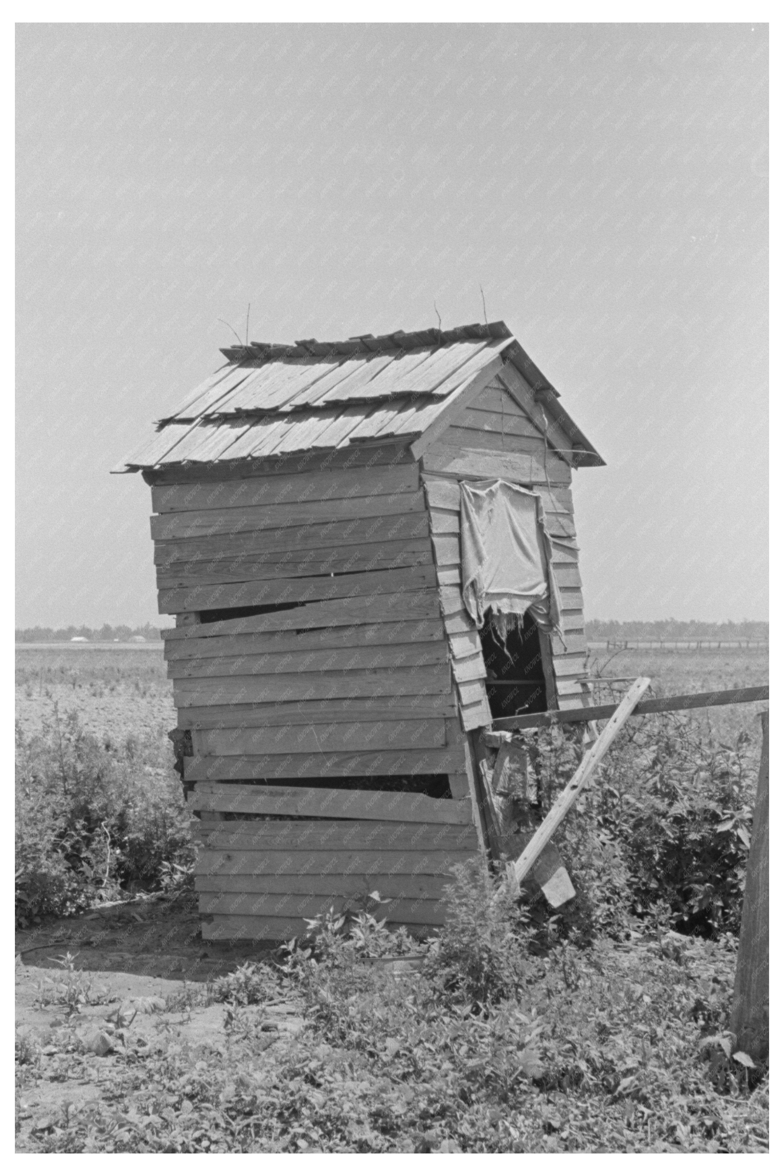 May 1938 Privy of Sharecroppers in Southeast Missouri