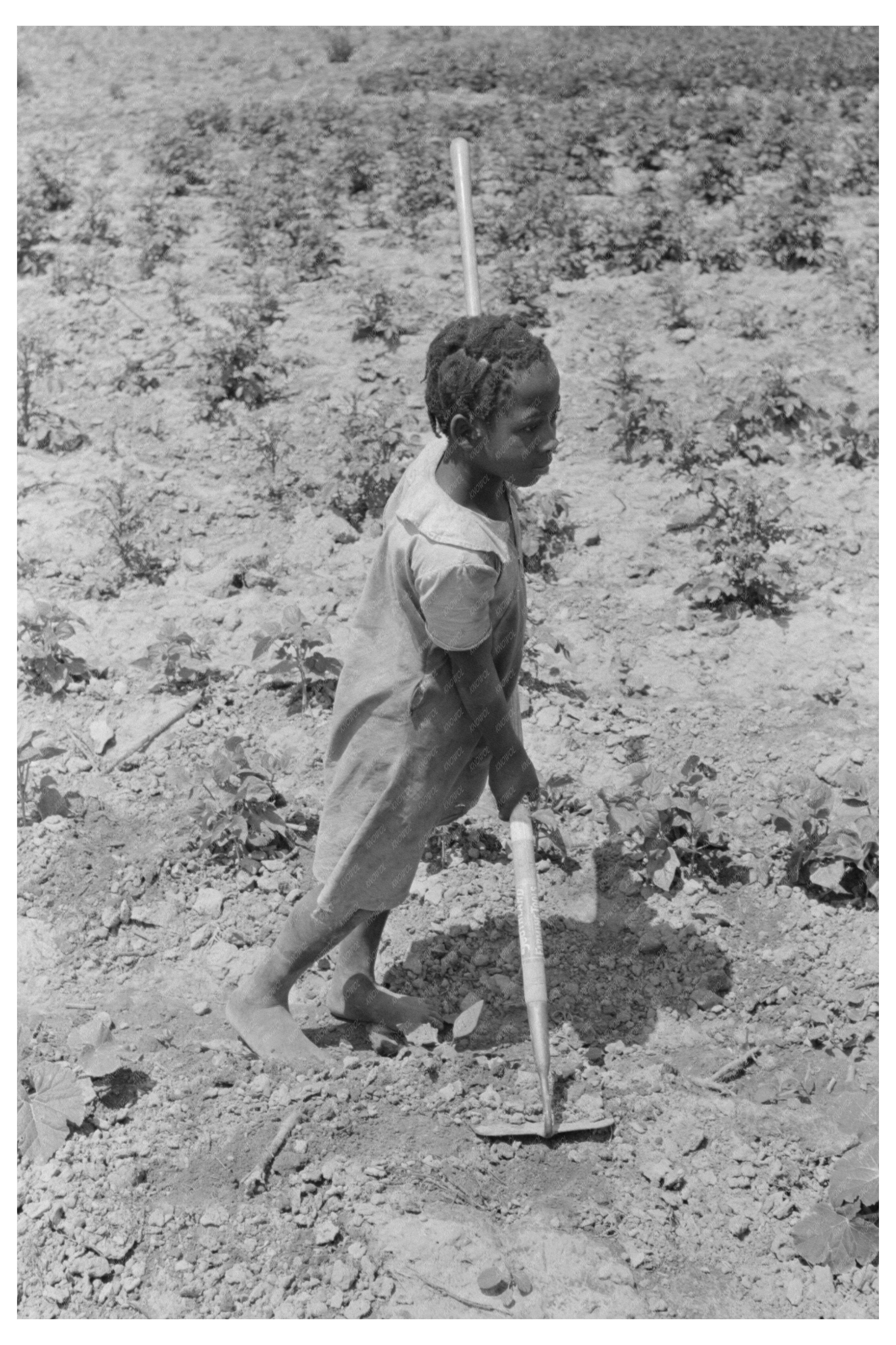 Daughter of Farm Security Client in Southeast Missouri 1938