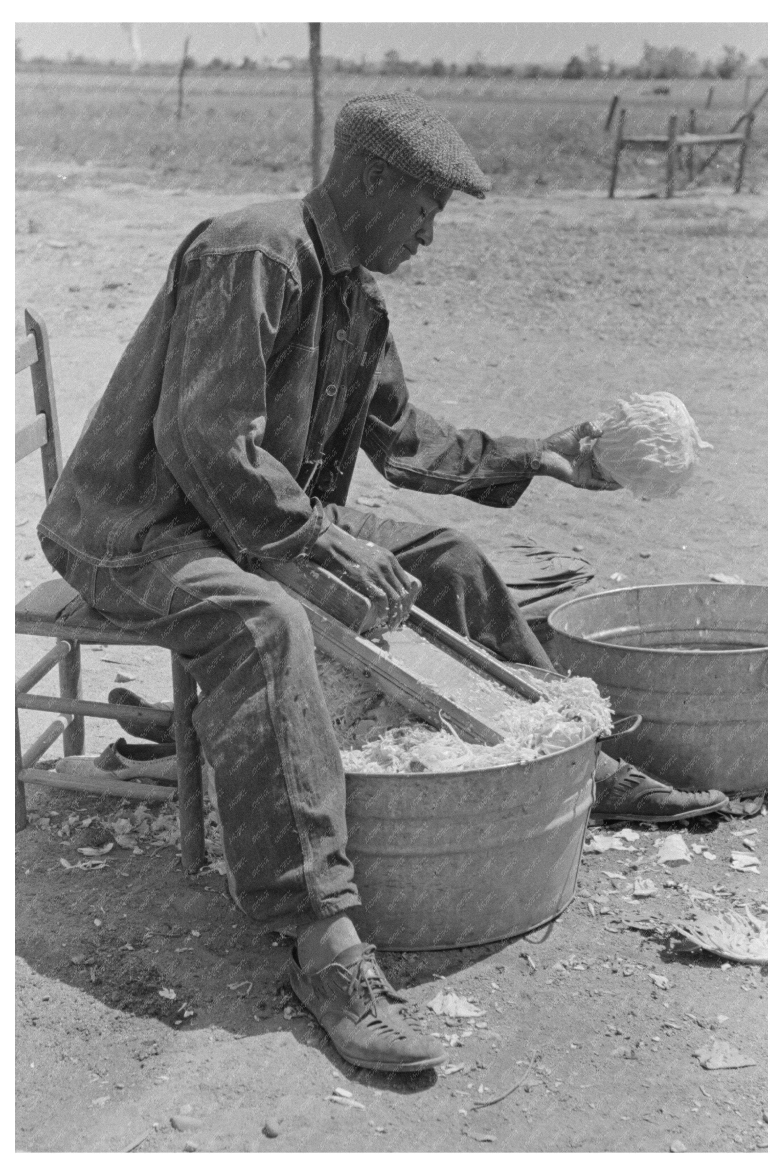 Cabbage Shredding for Sauerkraut in Southeast Missouri 1938