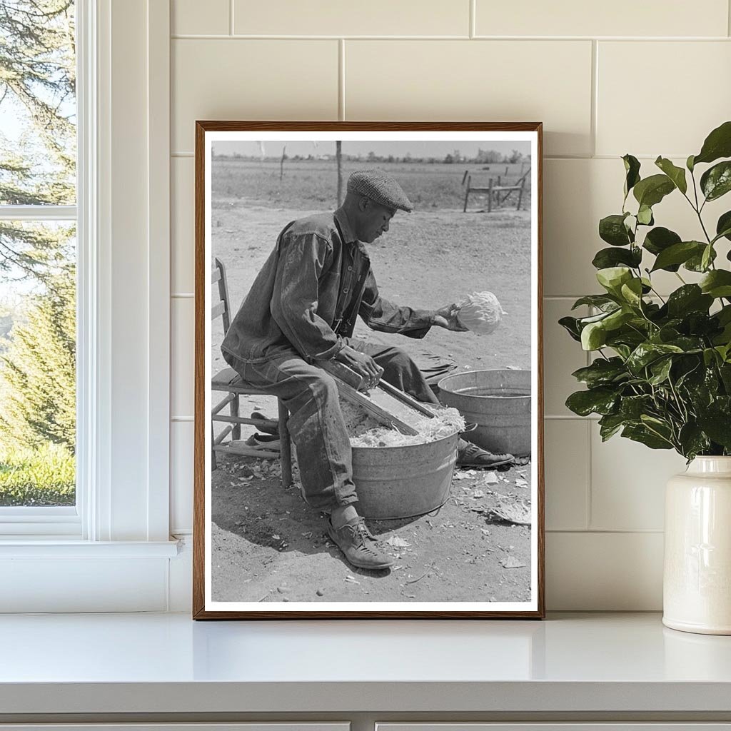 Cabbage Shredding for Sauerkraut in Southeast Missouri 1938