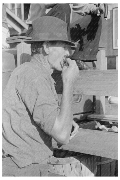 Farmer Enjoying Peach at Sikeston Livestock Auction 1938