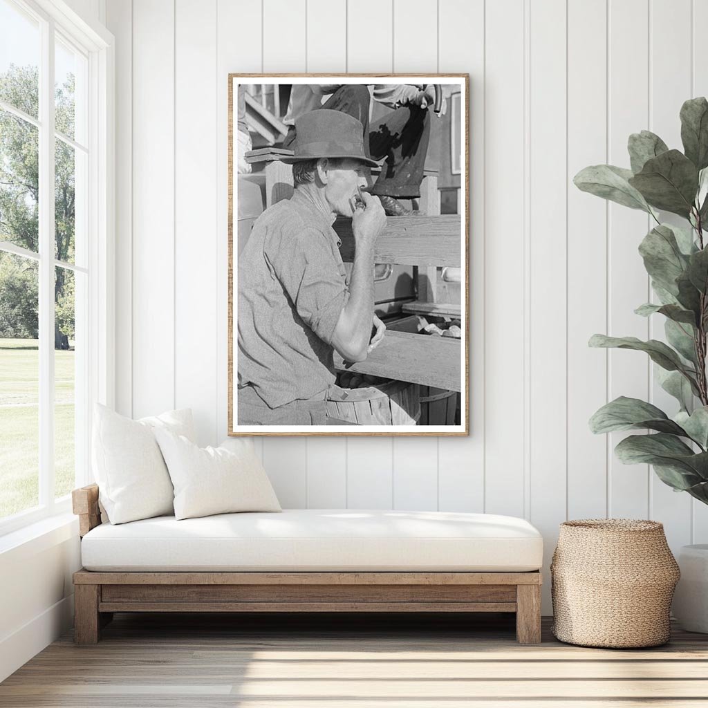 Farmer Enjoying Peach at Sikeston Livestock Auction 1938