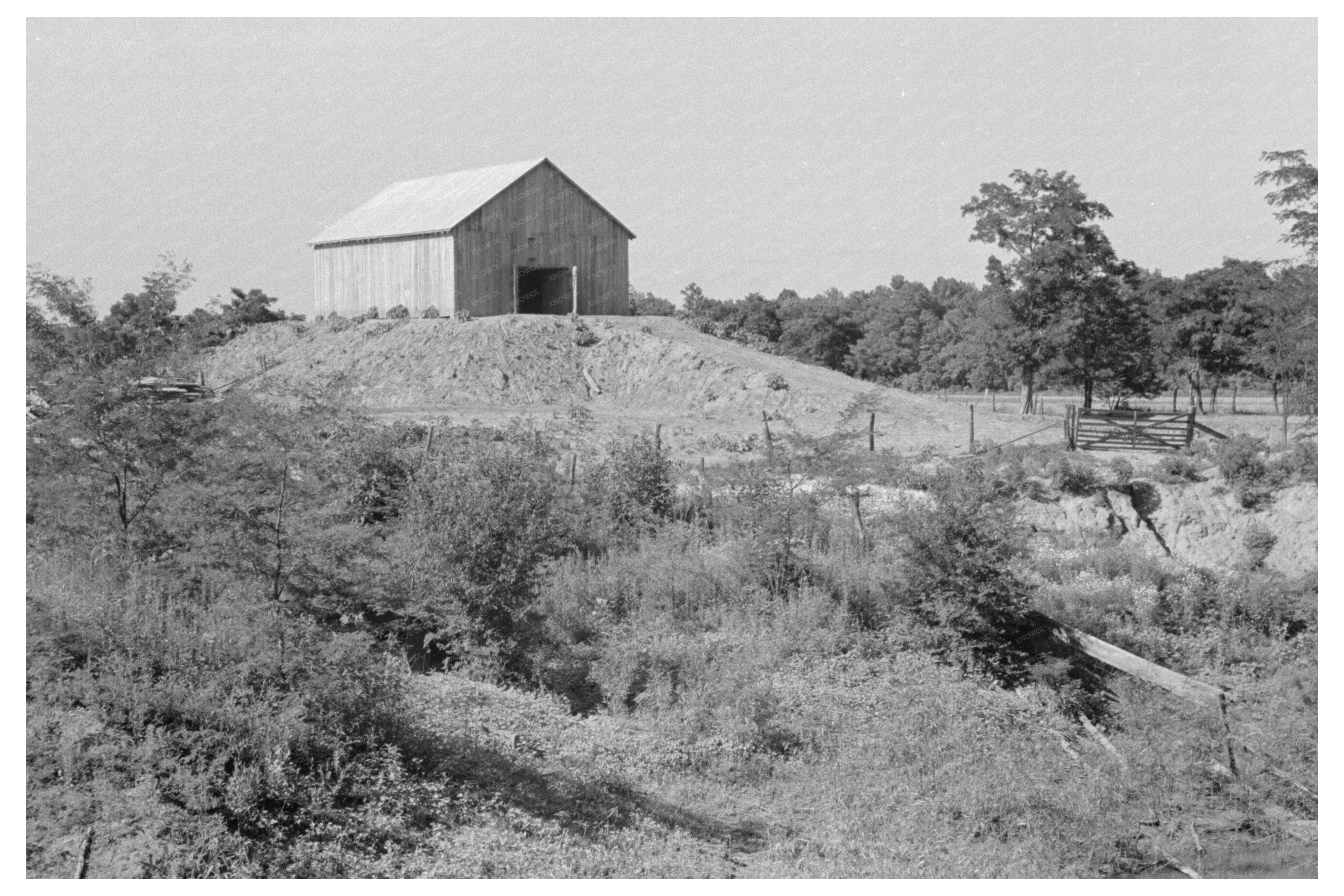 Vintage Barn on Elevated Hummock Missouri May 1938