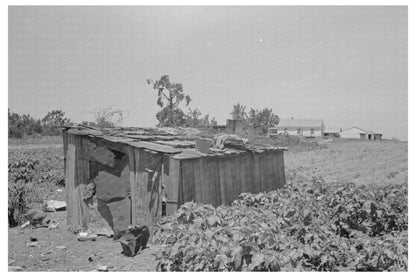 Vintage Tool Shed of Sharecropper in Missouri 1938