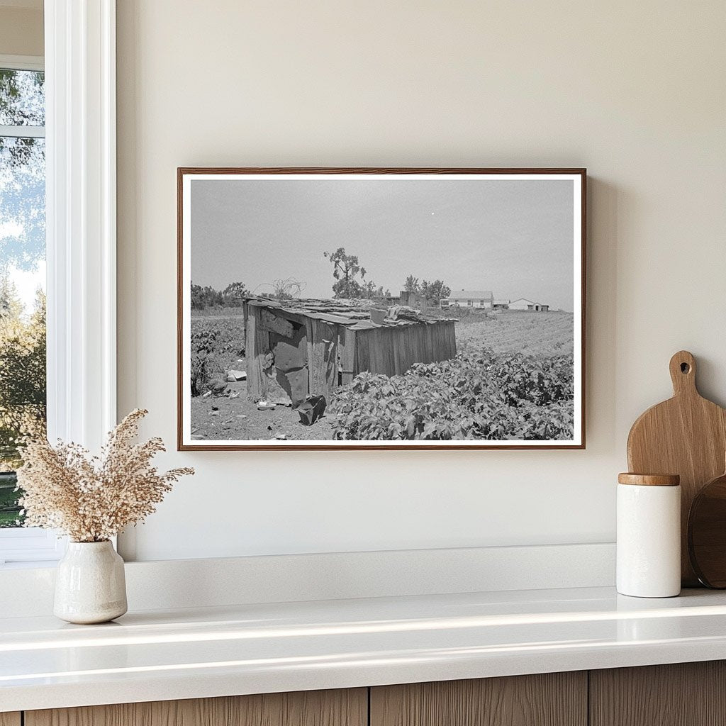 Vintage Tool Shed of Sharecropper in Missouri 1938