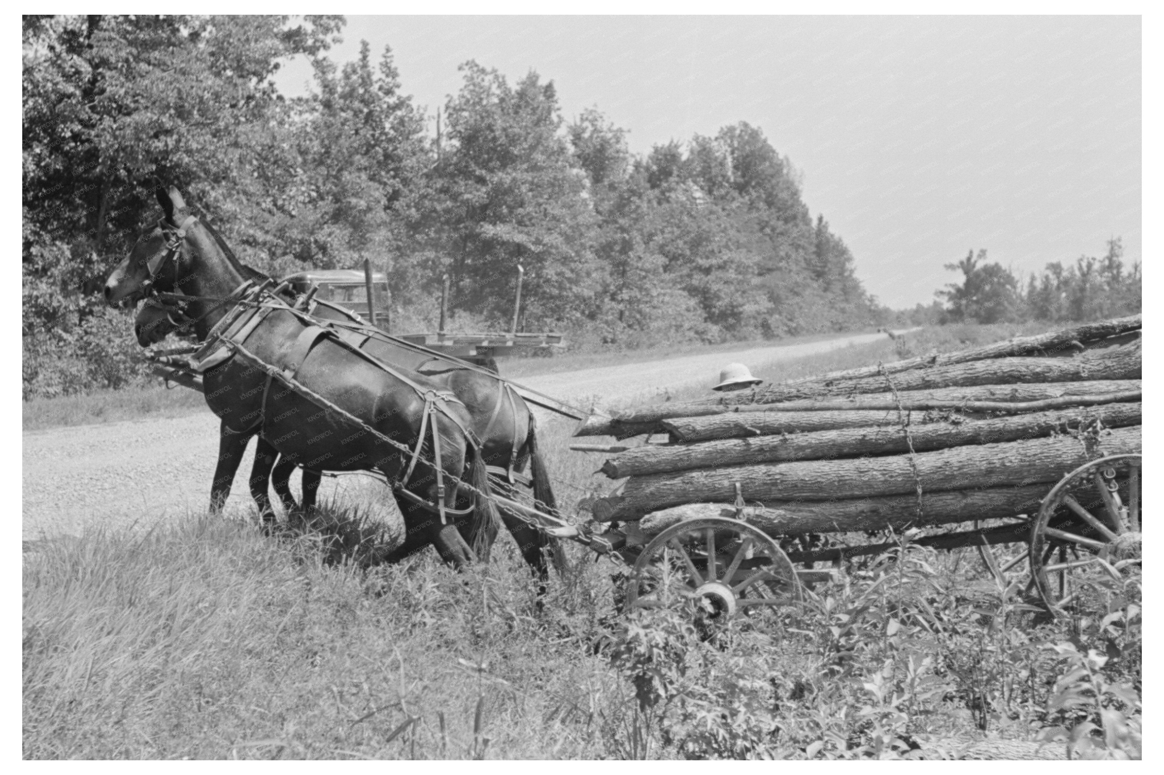 Wagonload of Firewood Crossing Ditch La Forge 1938