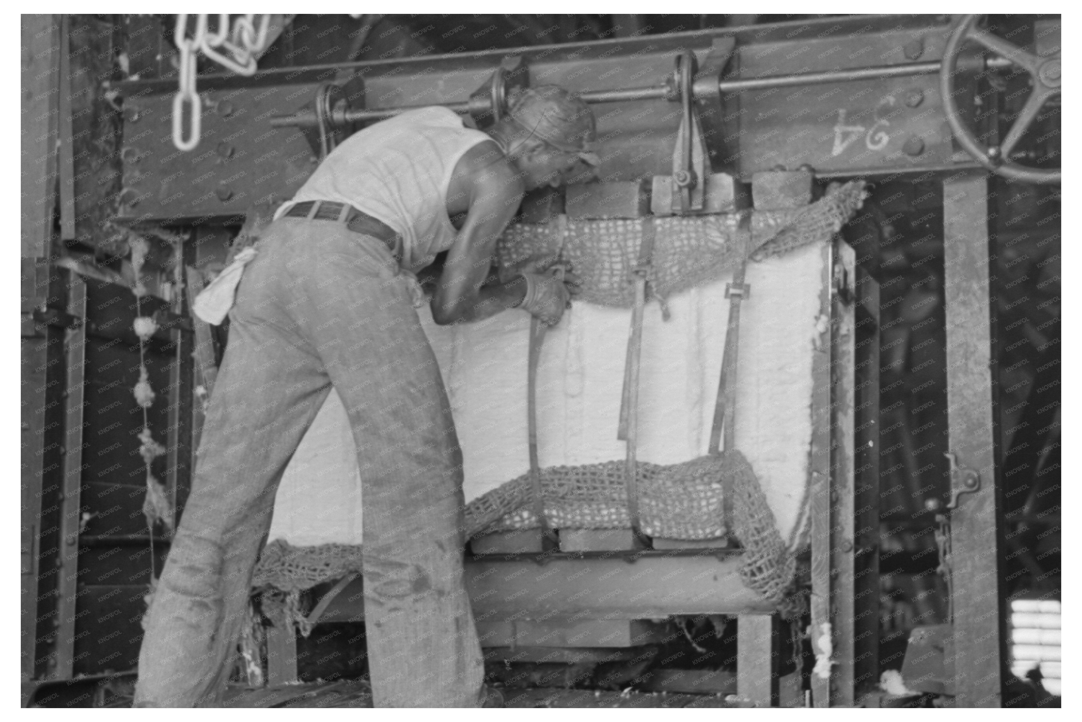 Workers Bundling Cotton at Arkansas Gin 1938