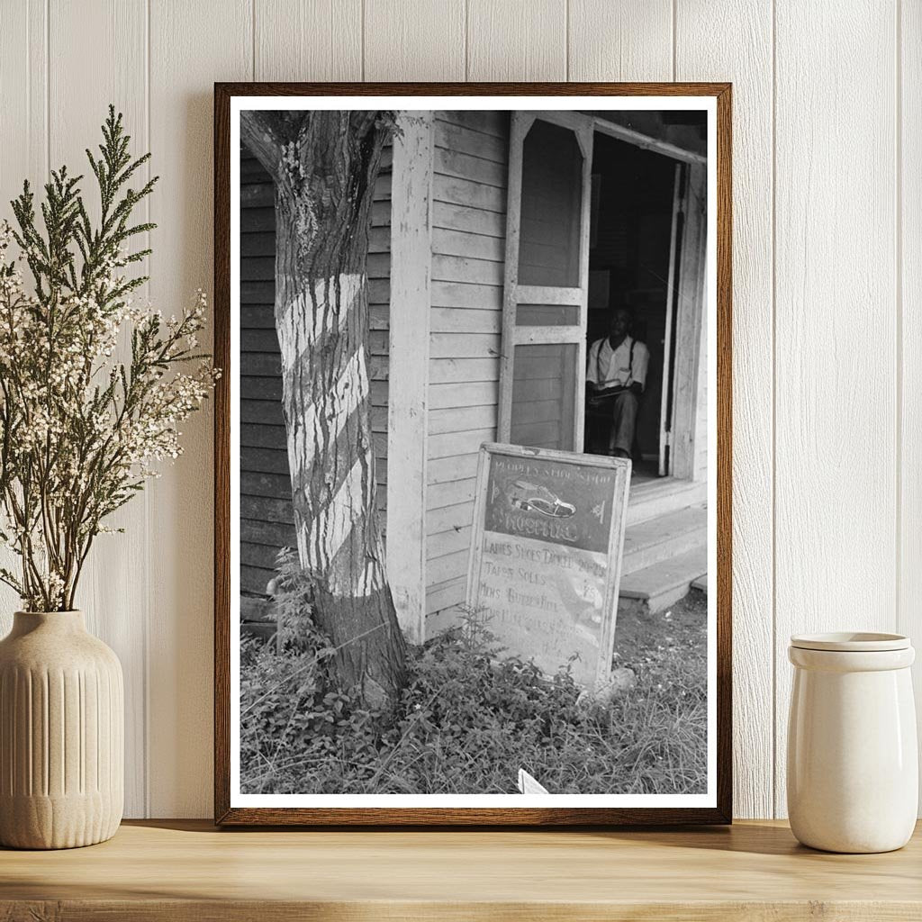 Barber Pole on Tree in Kenner Louisiana September 1938