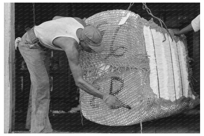 Workers Marking Cotton Bale Lehi Arkansas 1938