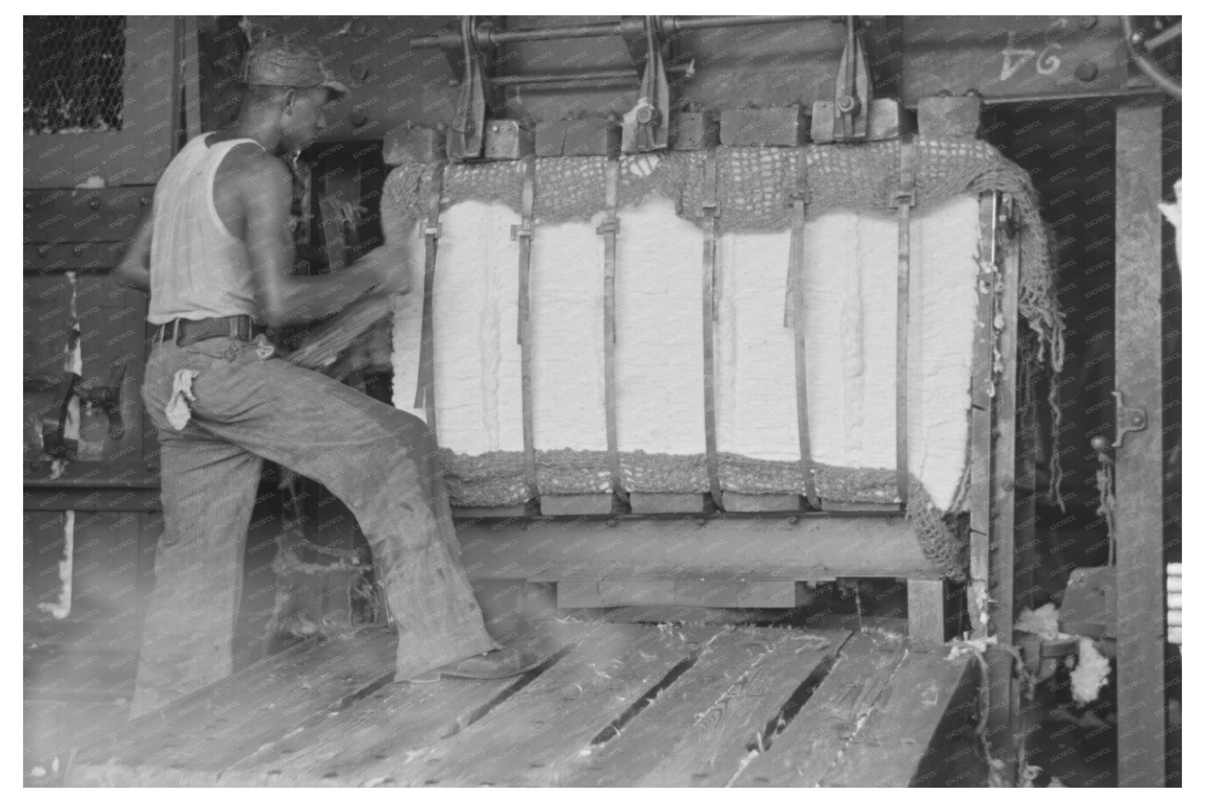 Vintage Cotton Bale Painting Identification September 1938