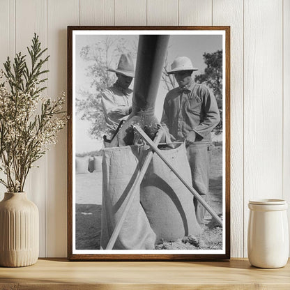 Rice Harvesting at Threshing Machine in Louisiana 1938