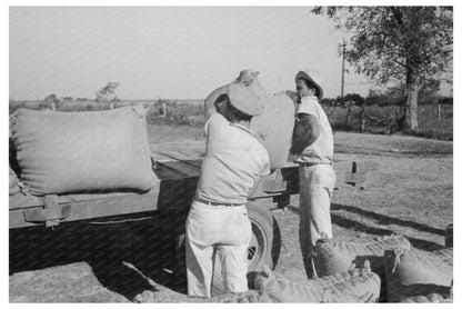 Workers Loading Rice onto Truck in Crowley Louisiana 1938