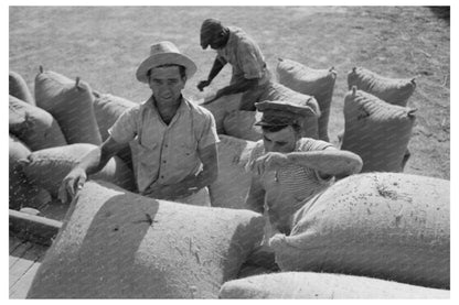 Worker Sewing Rice Sacks in Crowley Louisiana 1938