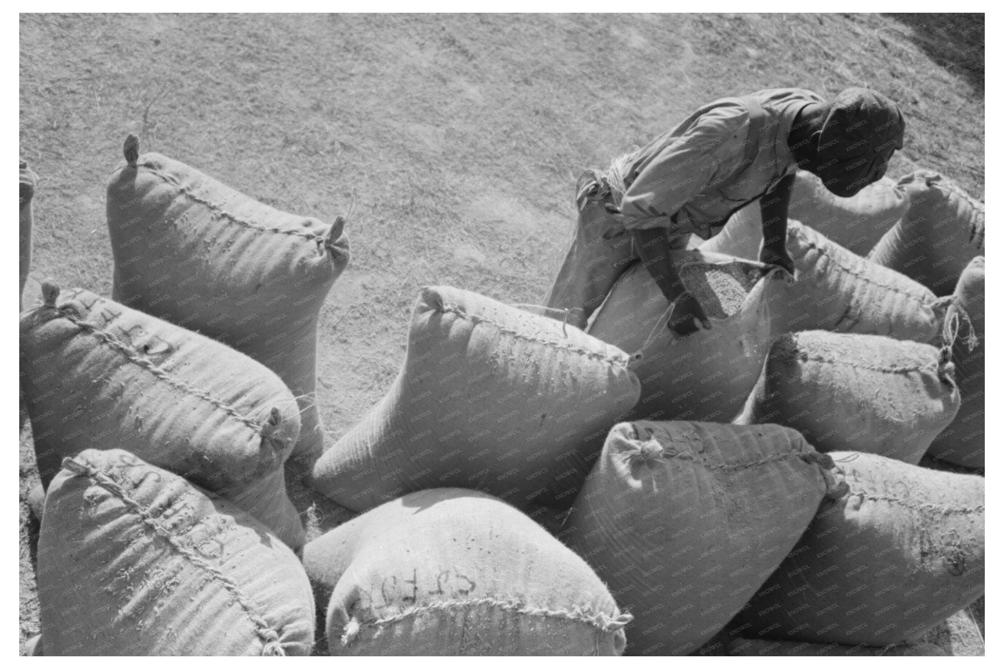 Worker Sewing Rice Sack in Crowley Louisiana 1938