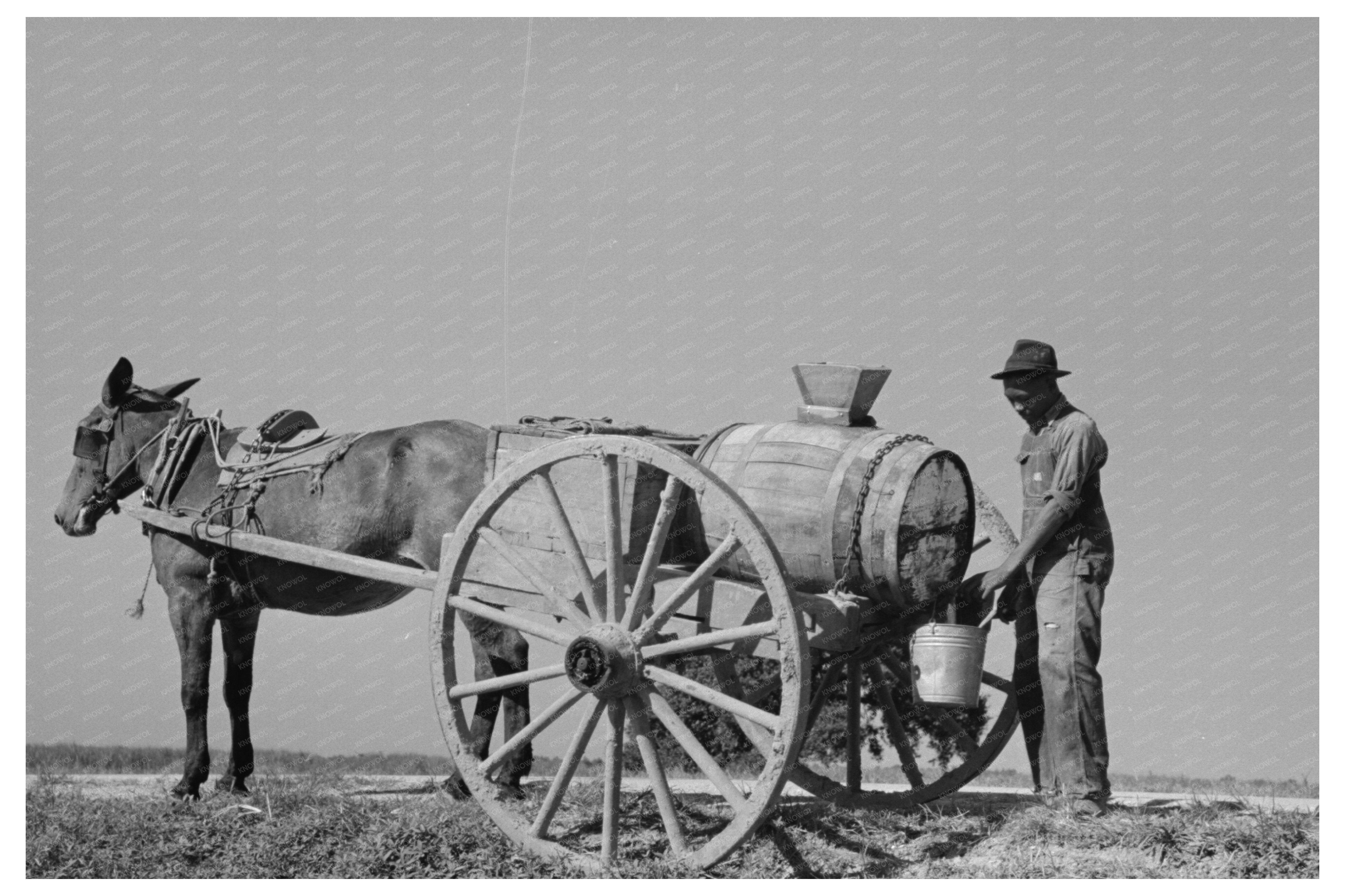 Water Boy and Rice Fields Bayou Teche Louisiana 1938