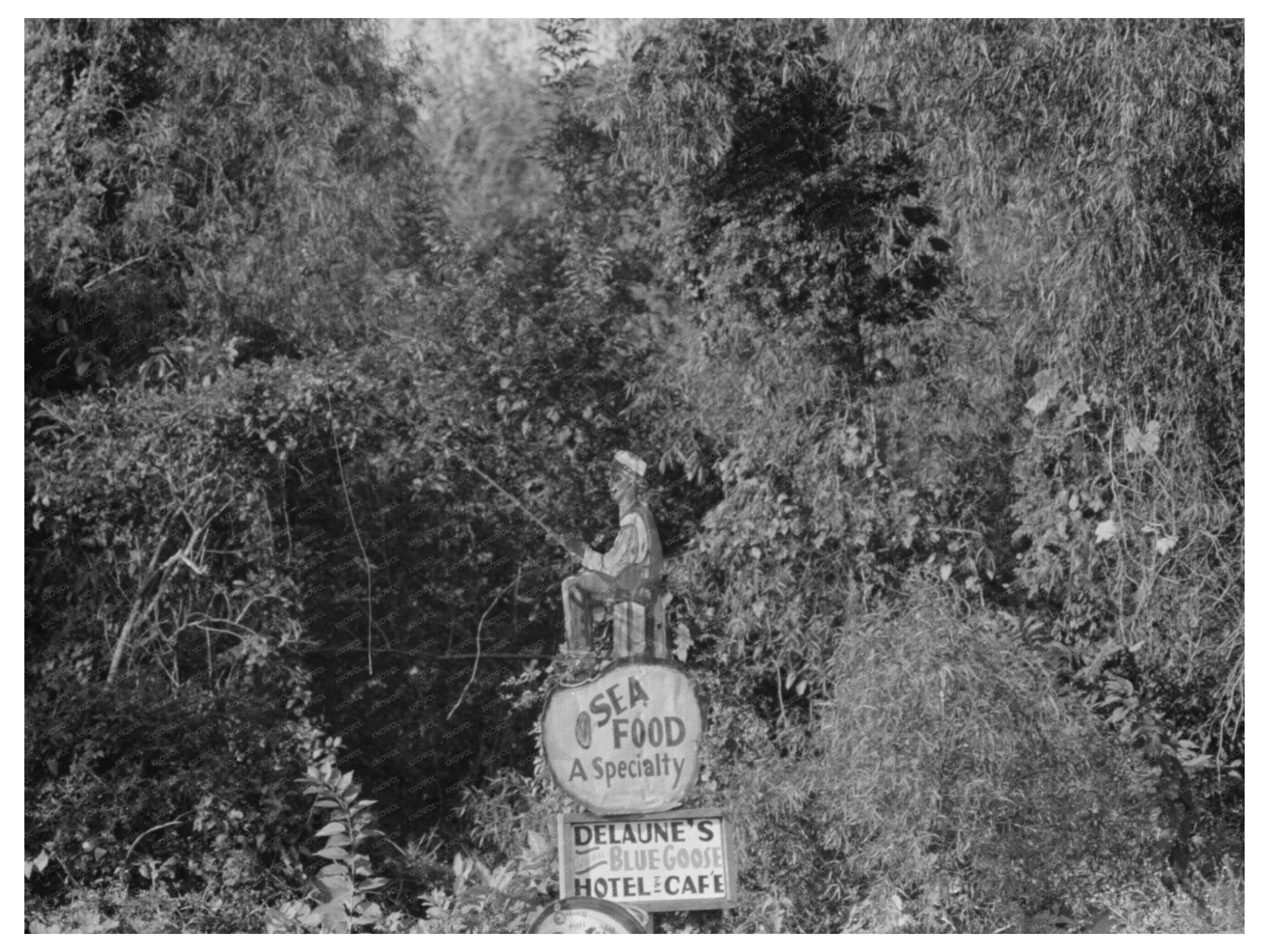 Frog Company Sign Rayne Louisiana September 1938