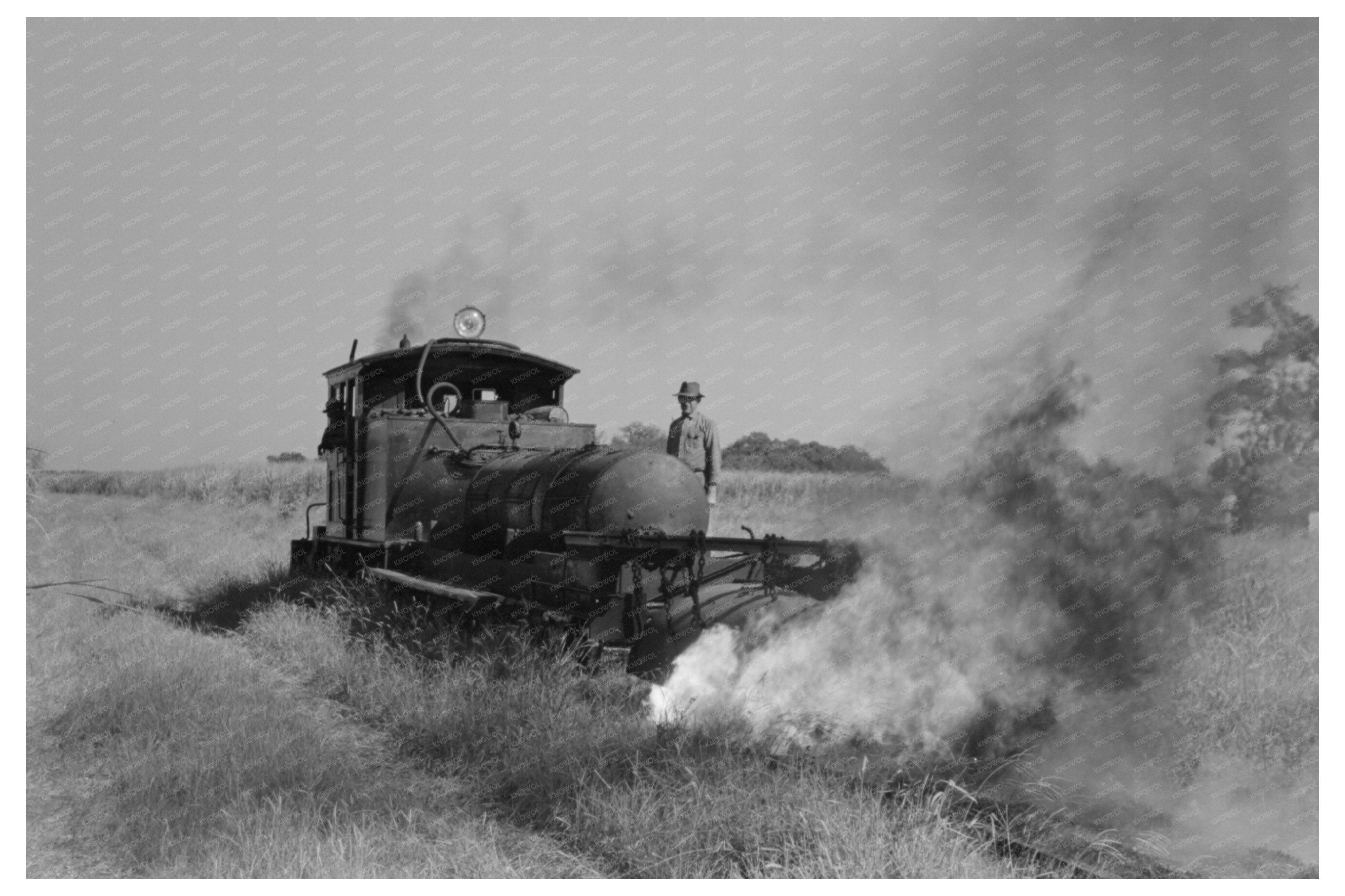 Weed Burner in Rice Field Jeanerette Louisiana 1938