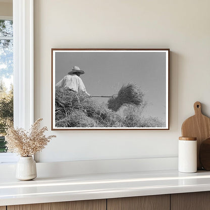 Vintage 1938 Rice Threshing in Louisiana Fields