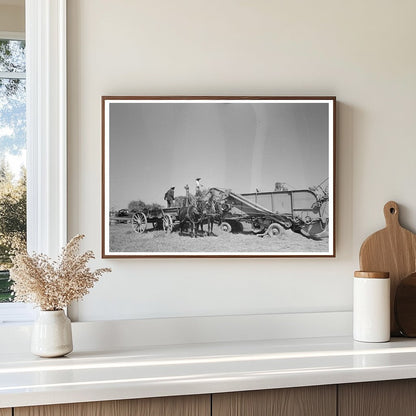 Vintage Threshing Rice Near Crowley Louisiana 1938