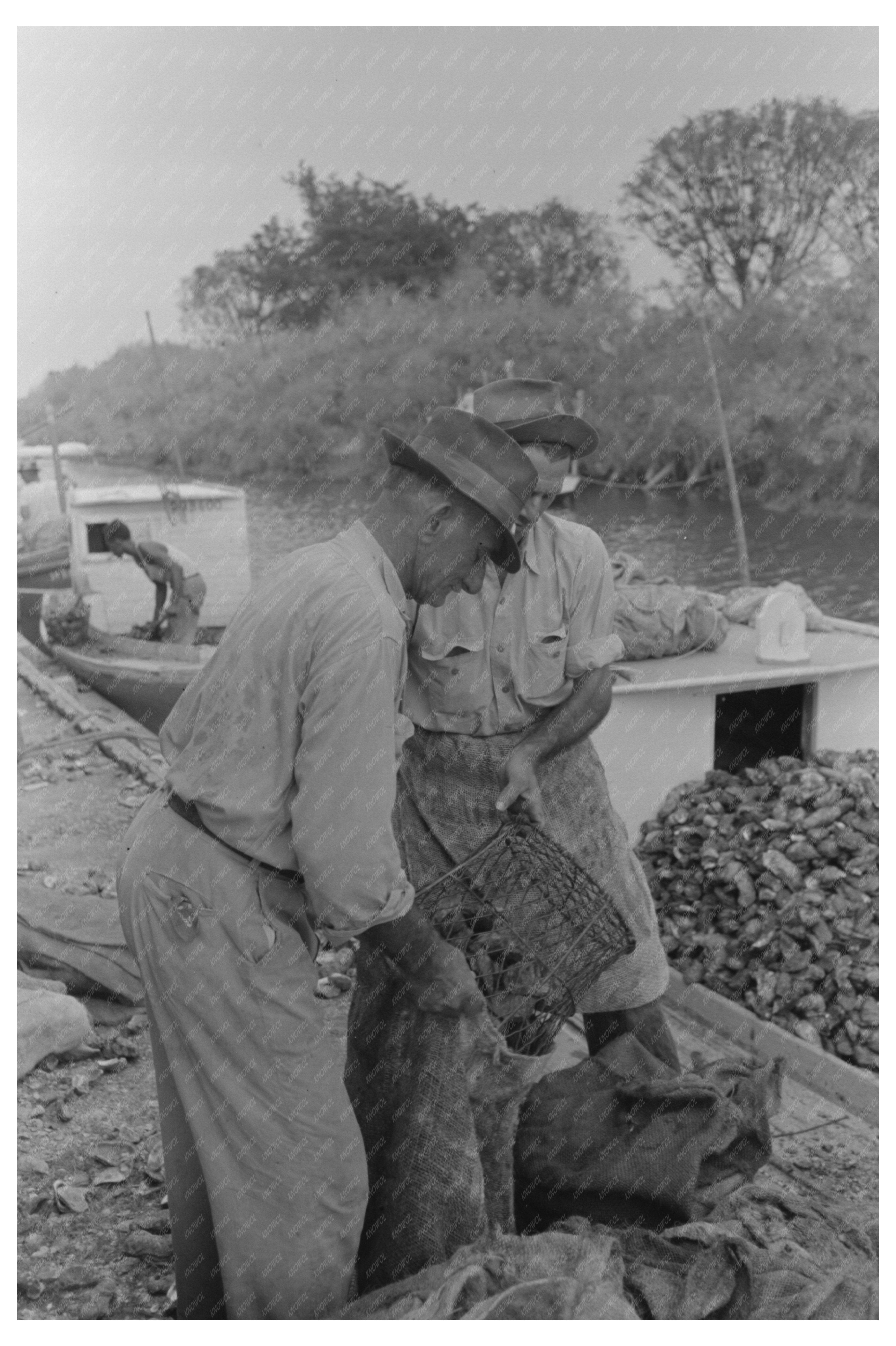 Sacking Oysters in Olga Louisiana September 1938