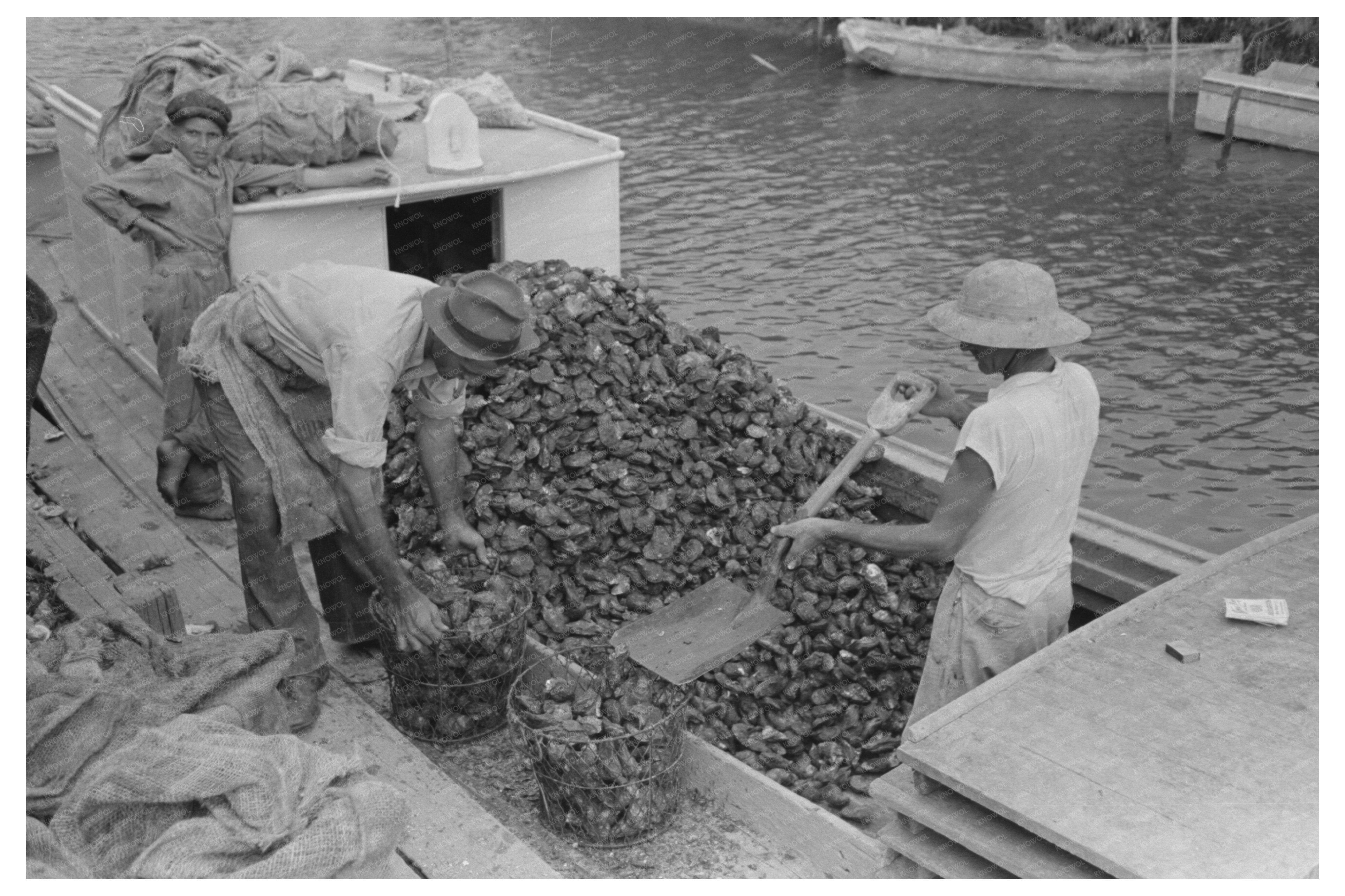 Vintage Oyster Sacking in Olga Louisiana September 1938