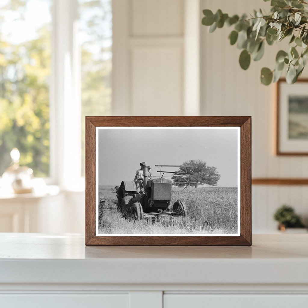 Vintage 1938 Photograph of Rice Cutting in Louisiana