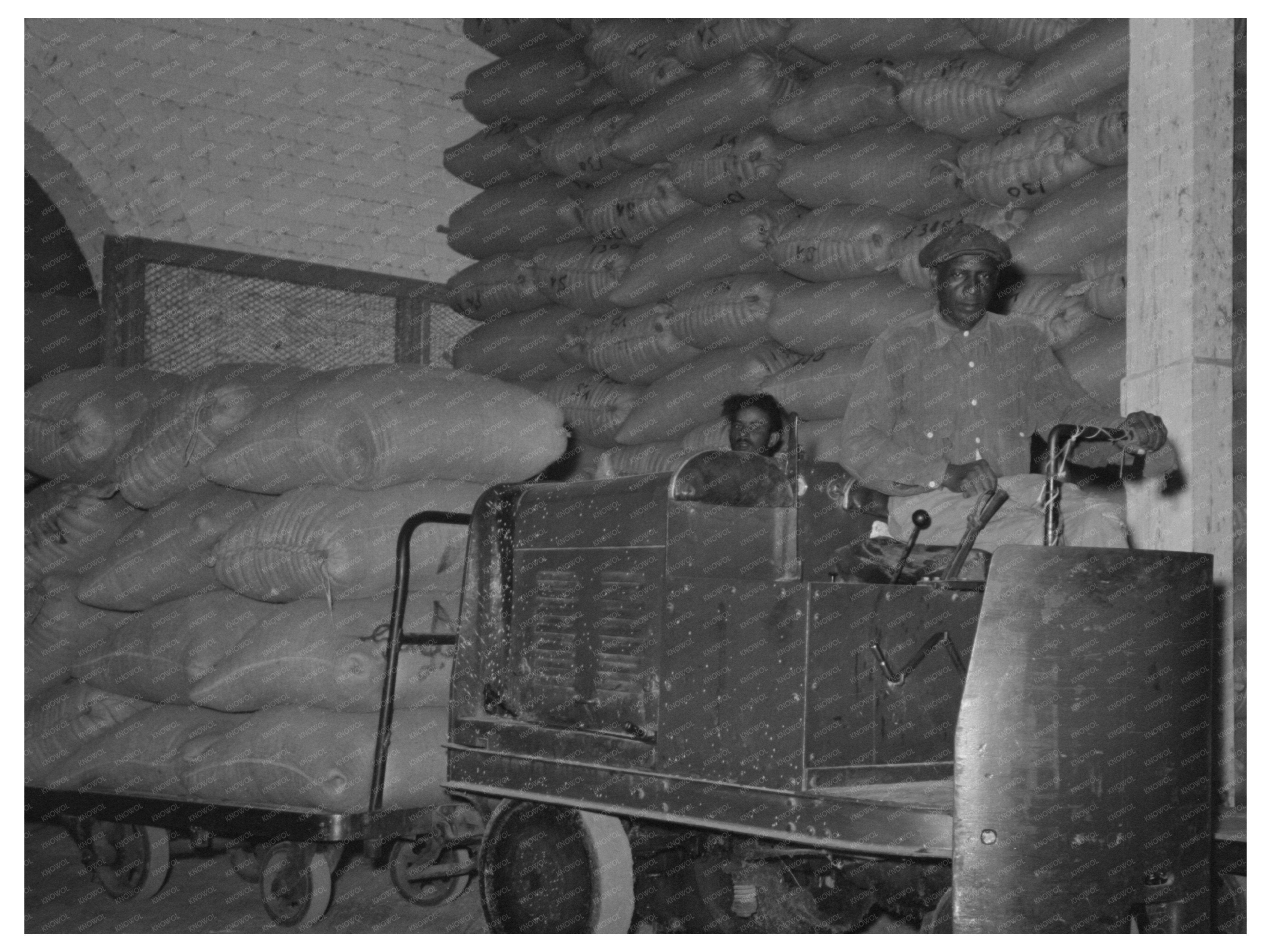 Workers Moving Rice in Warehouse Abbeville Louisiana 1938