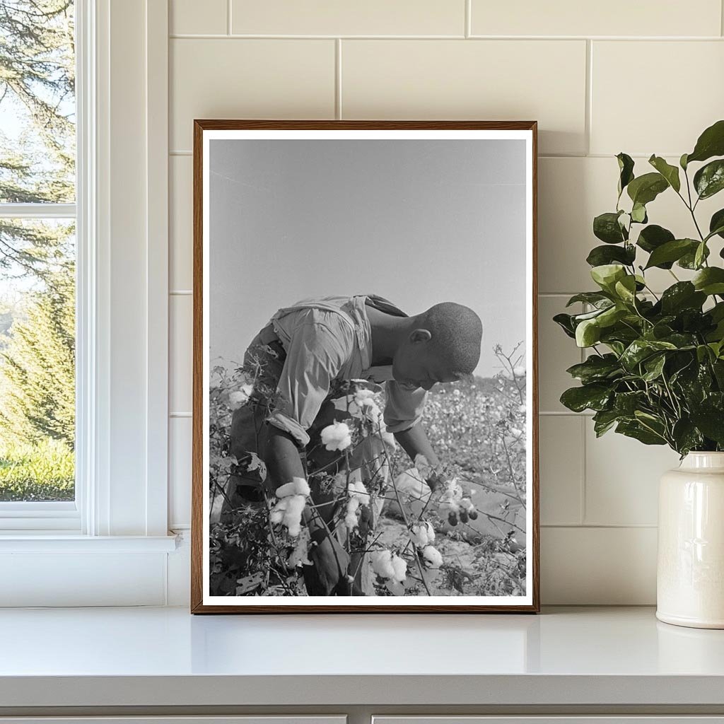 Cotton Pickers at Lake Dick Arkansas September 1938