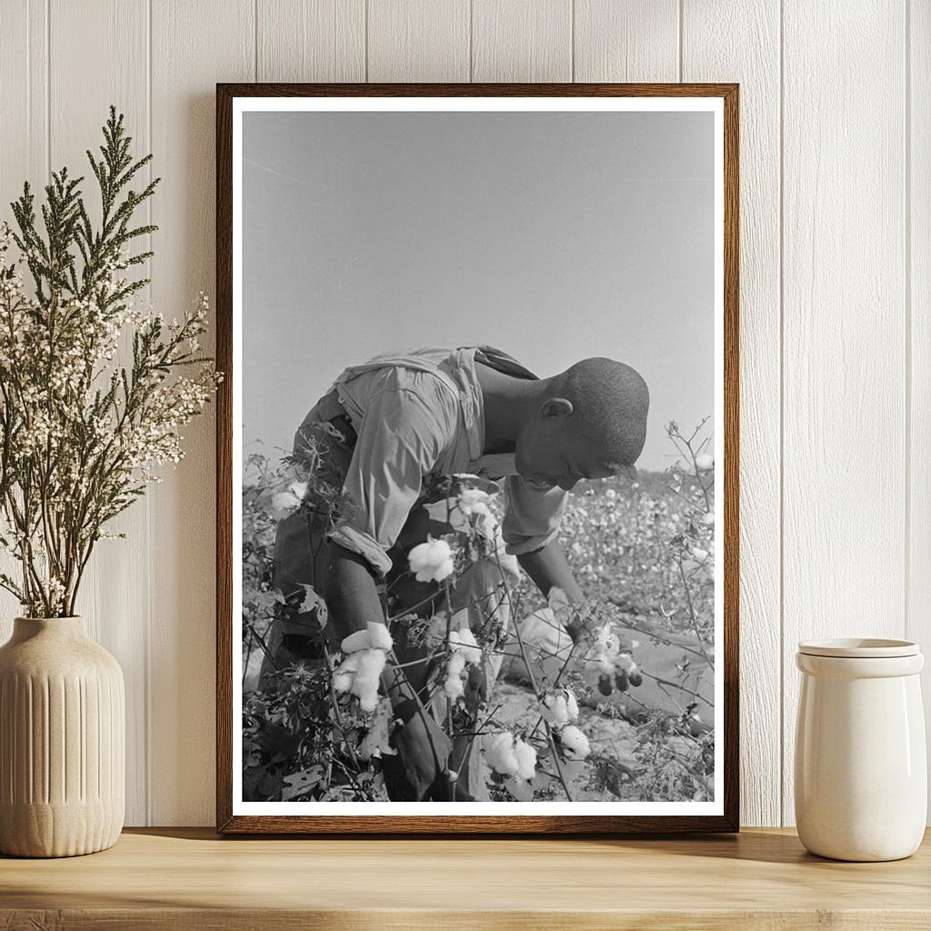 Cotton Pickers at Lake Dick Arkansas September 1938