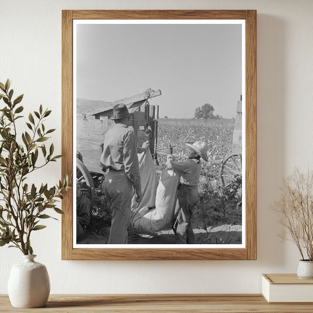 Weighing Cotton at Lake Dick Arkansas 1938