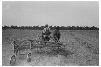 Vintage 1938 Soybean Hay Raking at Lake Dick Arkansas