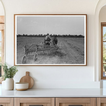 Vintage 1938 Soybean Hay Raking at Lake Dick Arkansas