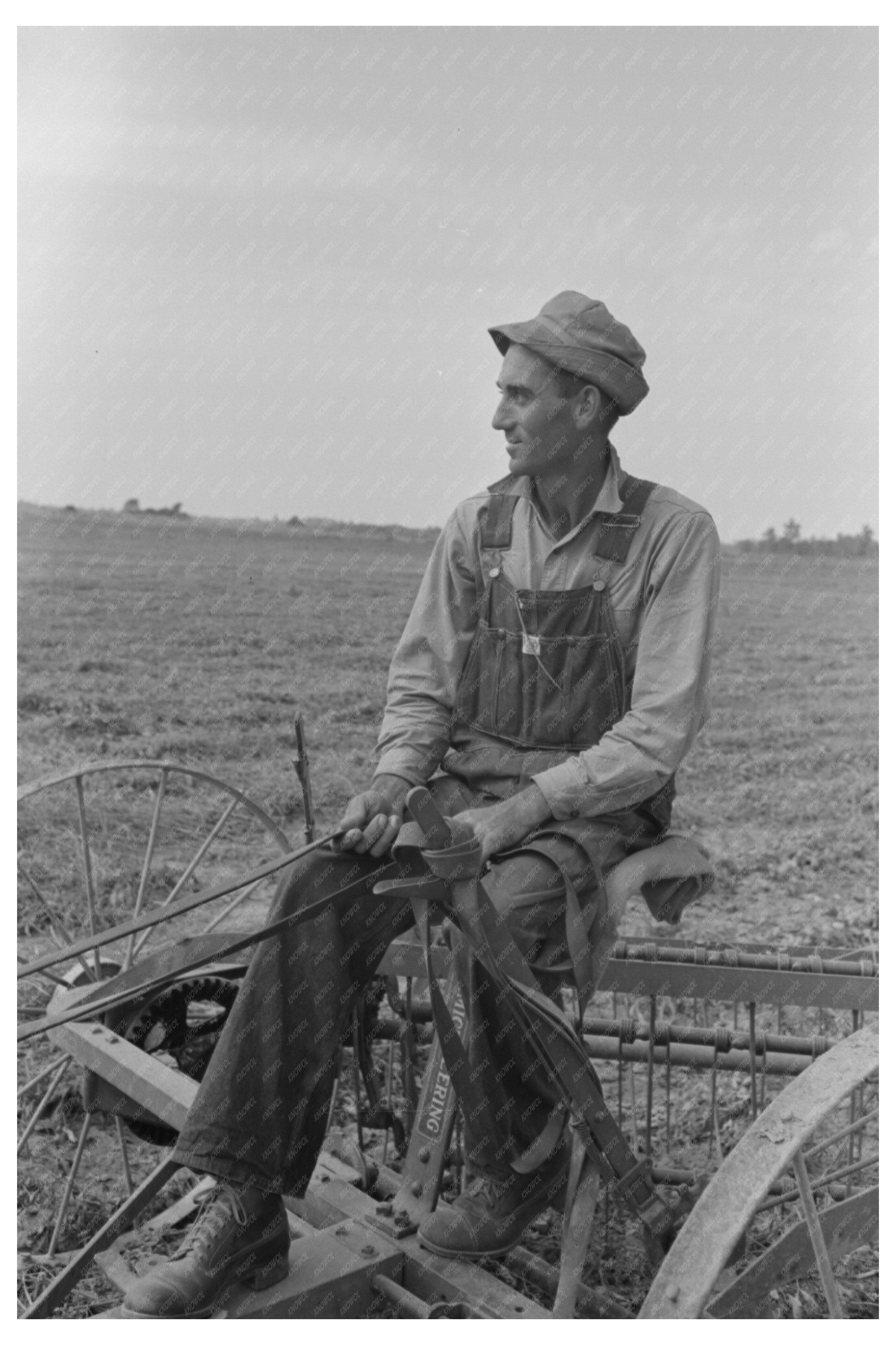 Raking Soybean Hay at Lake Dick Project Arkansas 1938