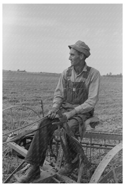 Raking Soybean Hay at Lake Dick Project Arkansas 1938