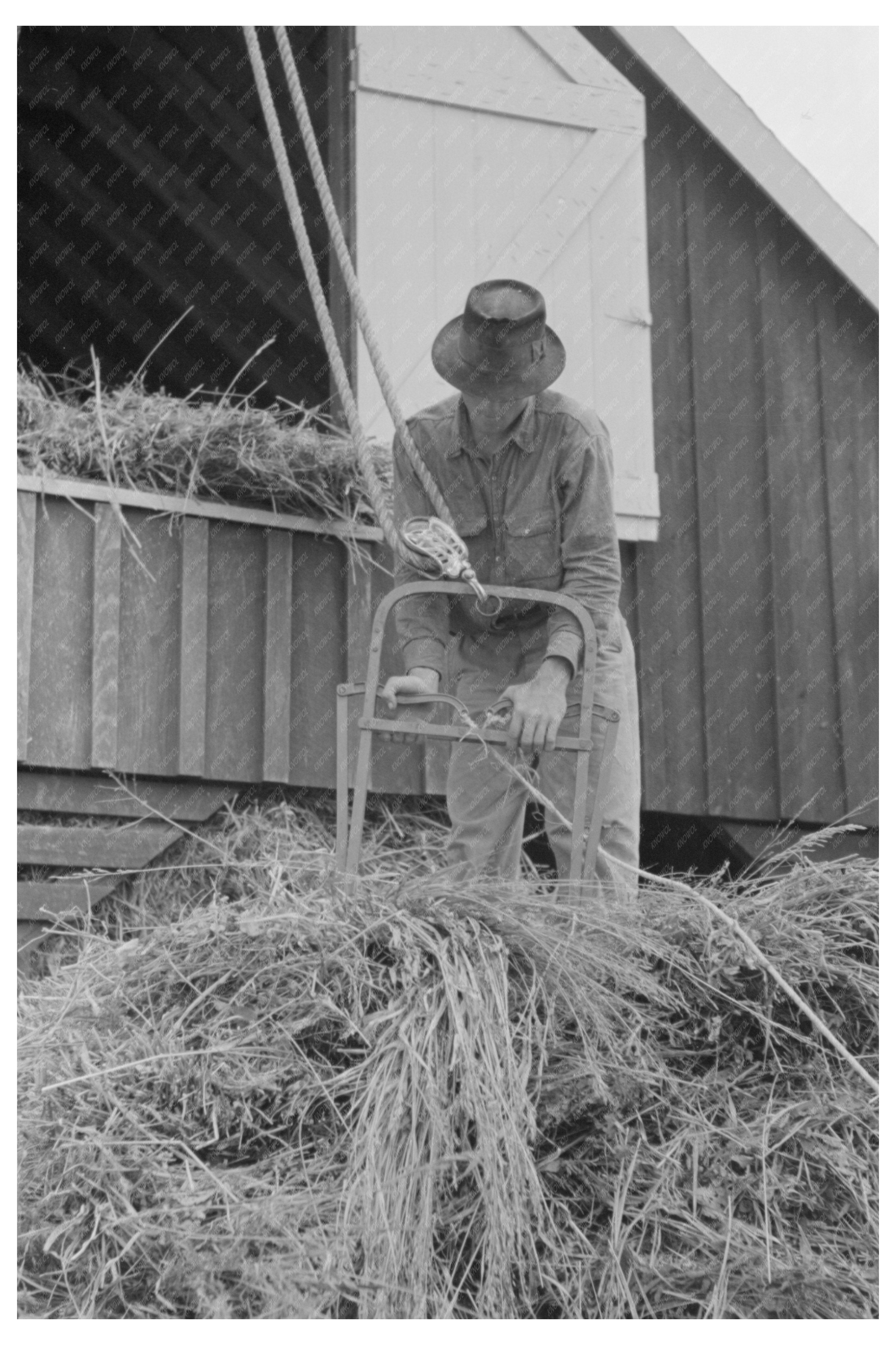 Hoisting Hay at Lake Dick Project Arkansas 1938