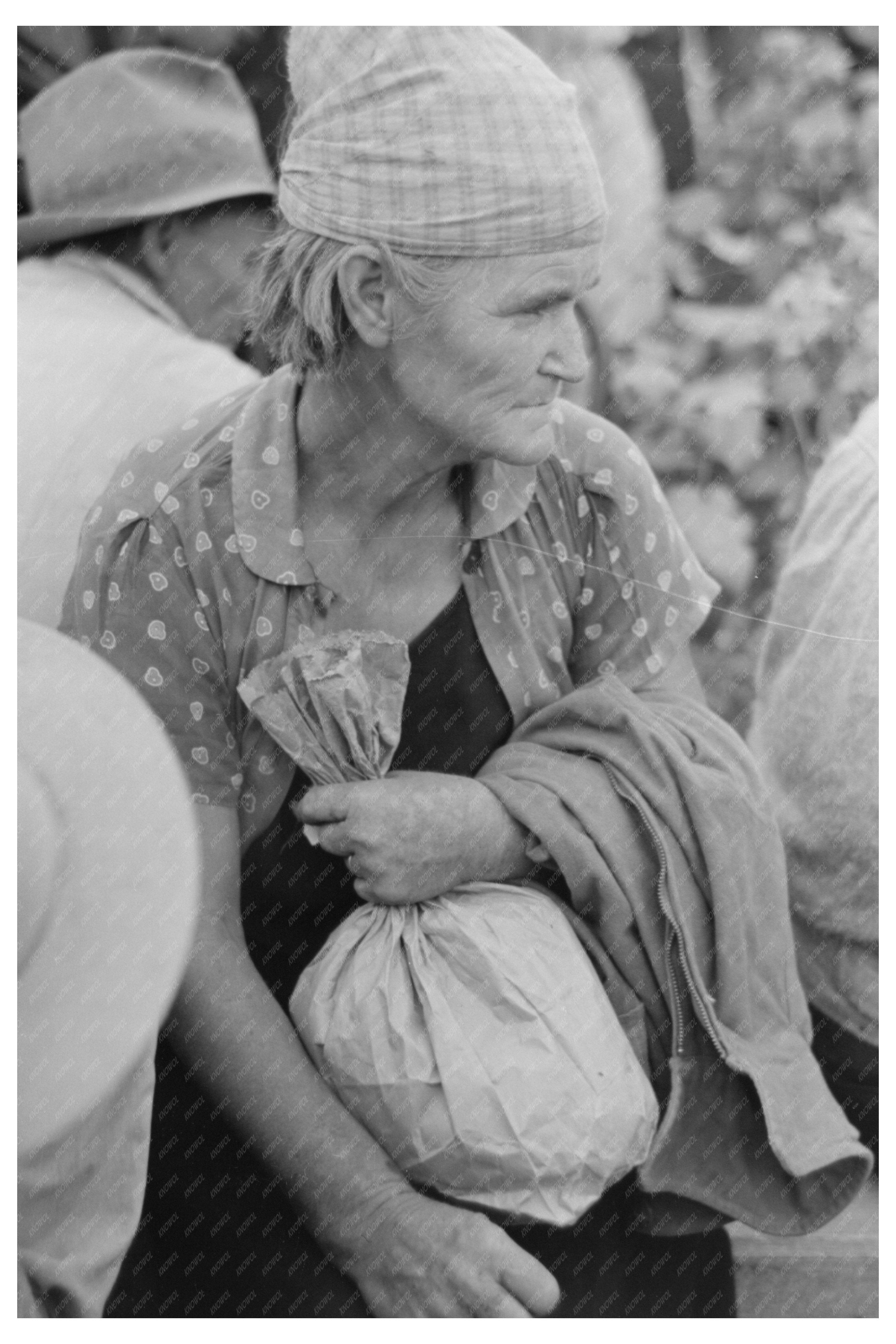 Cotton Picking in Lake Dick Arkansas September 1938