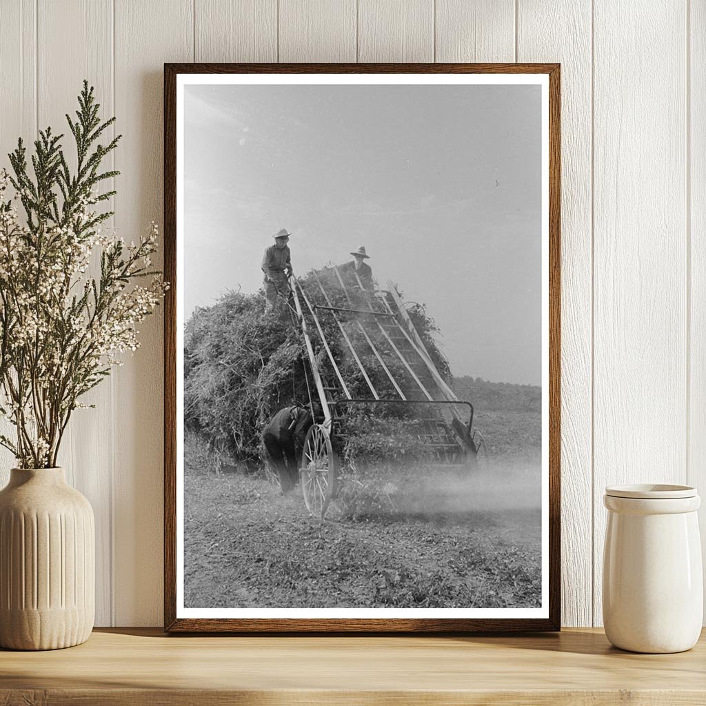 Hay Loading Machine at Lake Dick Project Arkansas 1938