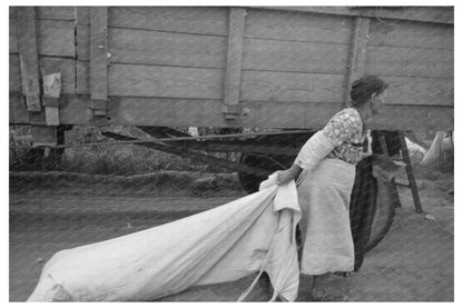 Woman Cotton Picker in Arkansas September 1938