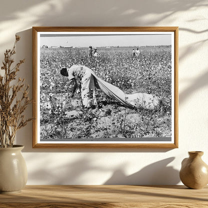 Cotton Picker at Lake Dick Project Arkansas September 1938