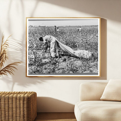 Cotton Picker at Lake Dick Project Arkansas September 1938