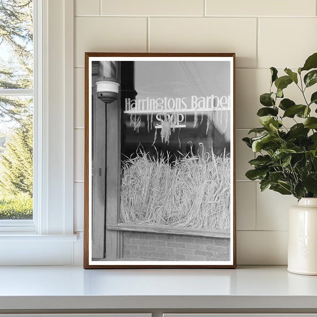 Barber Shop Window for National Rice Festival 1938