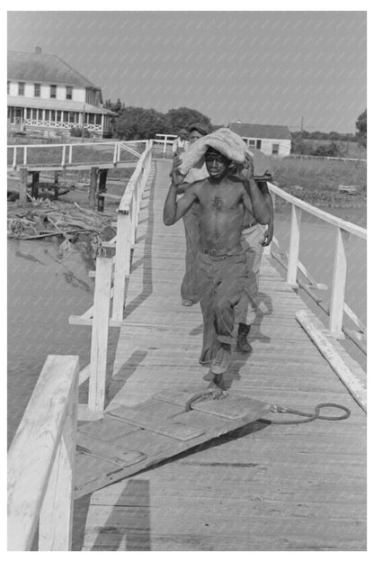 Stevedore Unloading Lumber in Pilottown Louisiana 1938